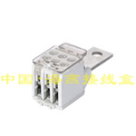 FJ6G1-250/16-50 ʹõ_P250A