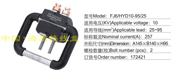 FJ6/HYD10-95/25 ^̾A(10KV)