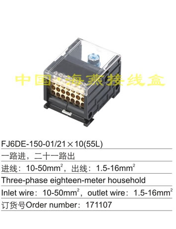 FJ6DE-150-01/21X16 (55L)